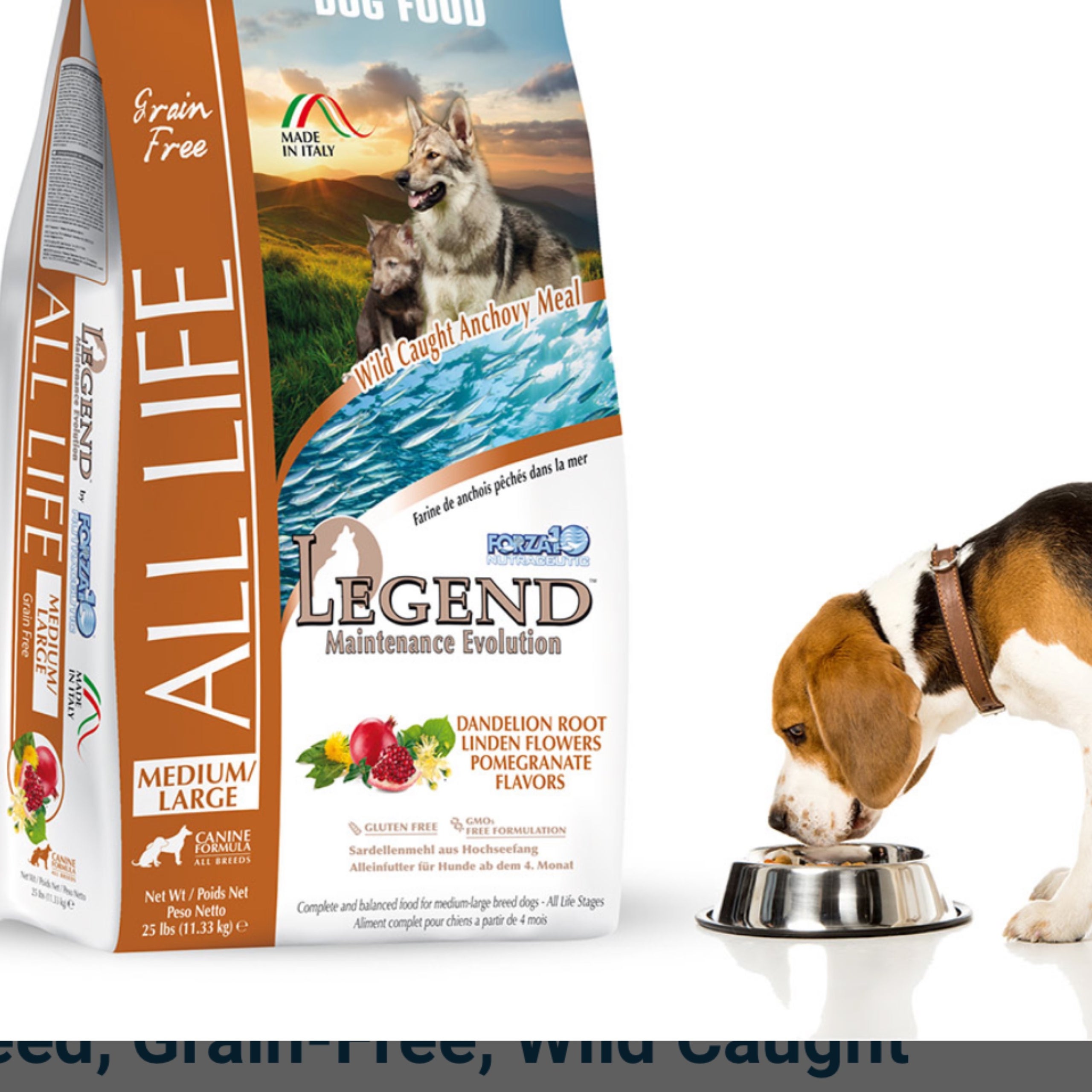 Large breed grain outlet free dog food